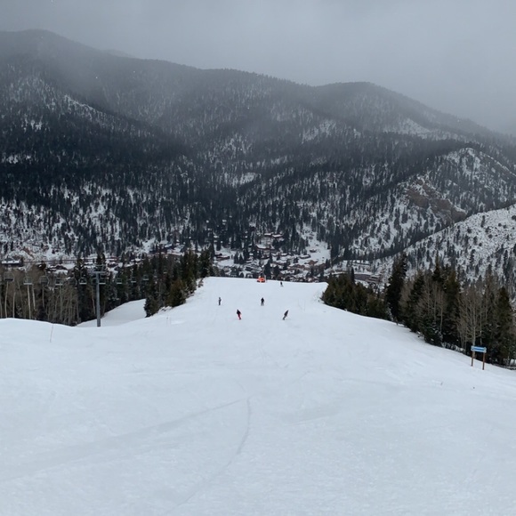 Meet your Posher, Zachary - Picture 1 of 1